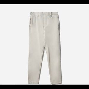 Everlane Modern Fit Performance Chino